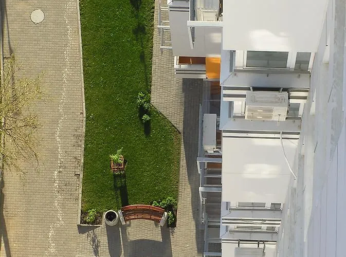 Orange Guest * Odesa